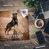 Rottweiler Wall Calendar 2026