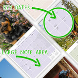 Rottweiler Wall Calendar 2026
