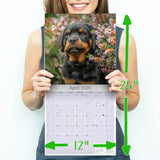 Rottweiler Wall Calendar 2026
