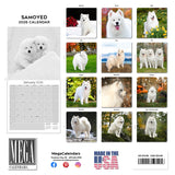 Samoyed Wall Calendar 2026