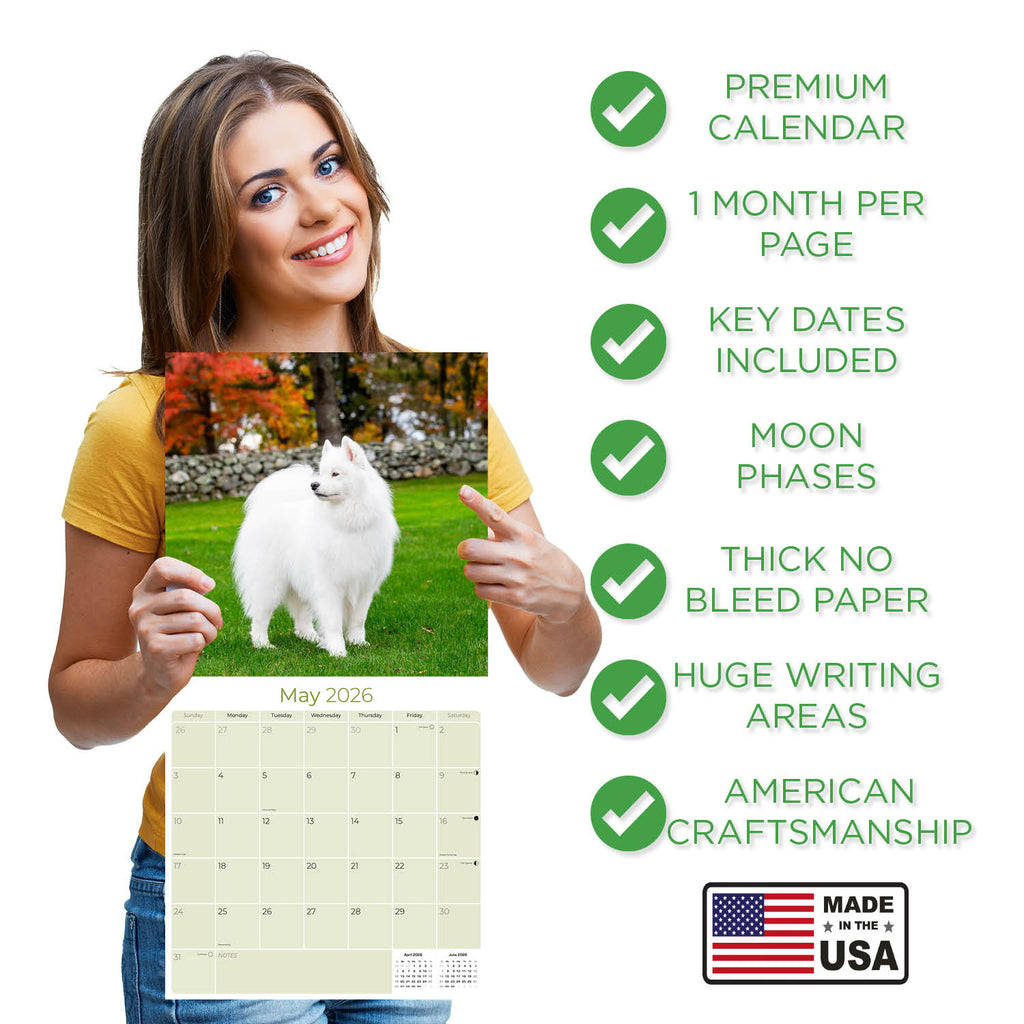 Samoyed Wall Calendar 2026