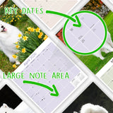 Samoyed Wall Calendar 2026
