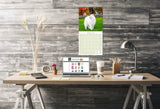 Samoyed Wall Calendar 2026