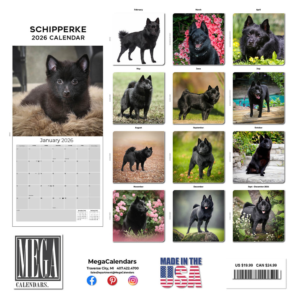 Schipperke Wall Calendar 2026