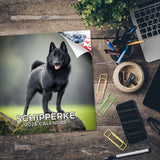 Schipperke Wall Calendar 2026