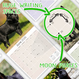 Schipperke Wall Calendar 2026