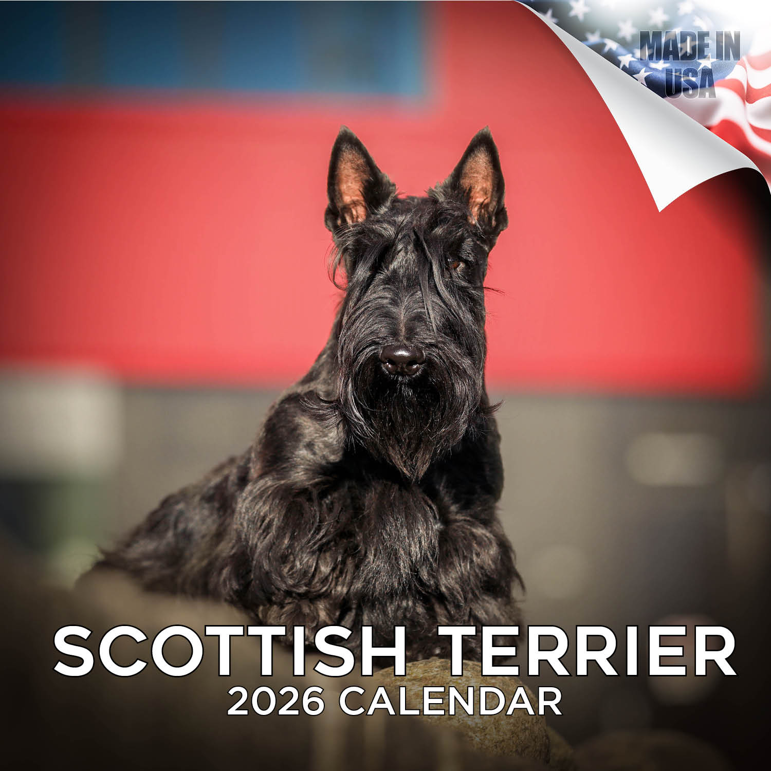 Scottish Terrier Wall Calendar 2026