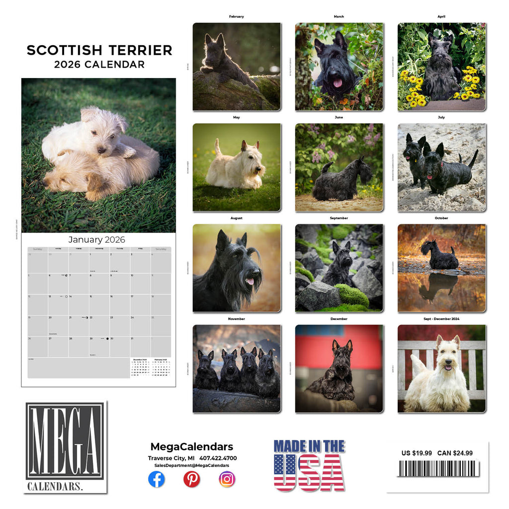 Scottish Terrier Wall Calendar 2026