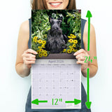 Scottish Terrier Wall Calendar 2026