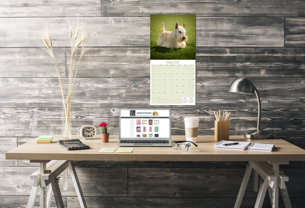 Scottish Terrier Wall Calendar 2026