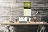 Scottish Terrier Wall Calendar 2026