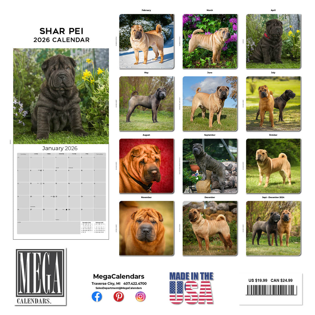 Shar Pei Wall Calendar 2026