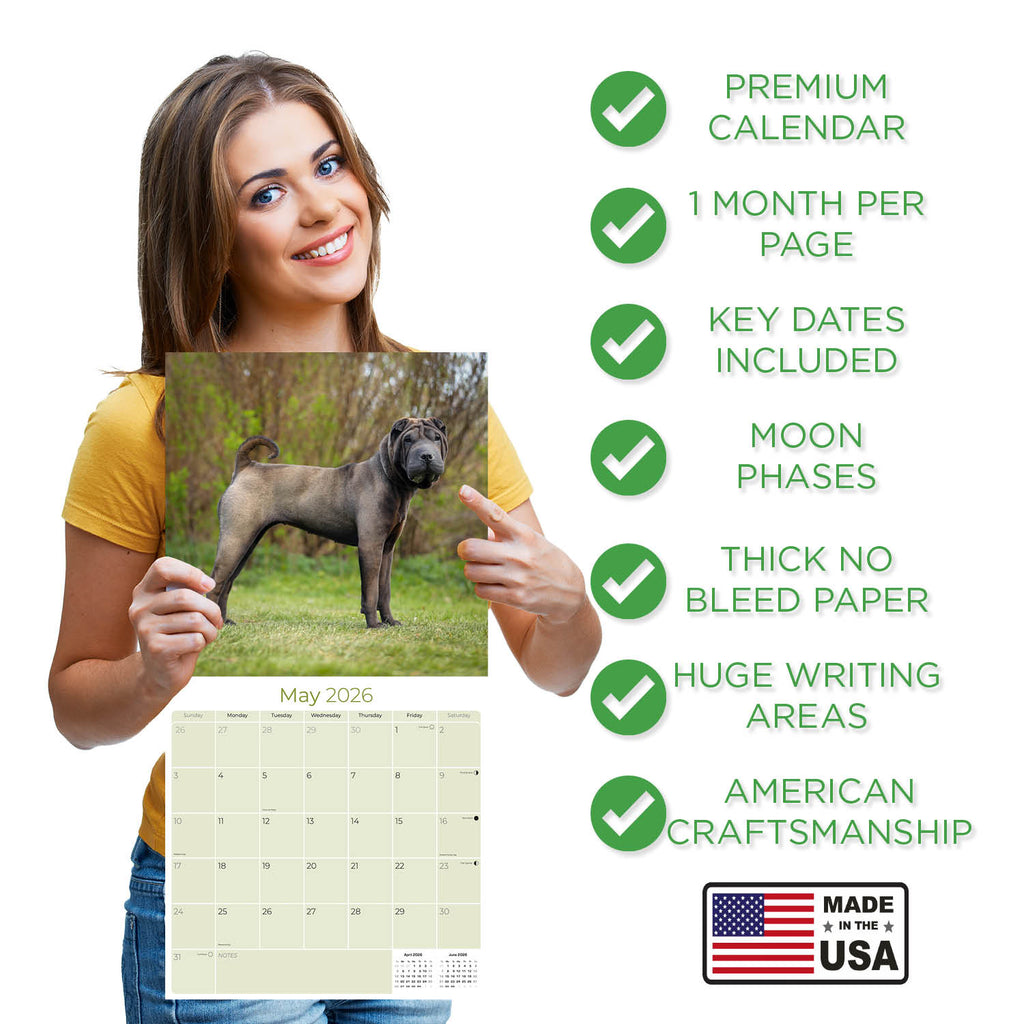 Shar Pei Wall Calendar 2026
