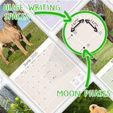 Shar Pei Wall Calendar 2026