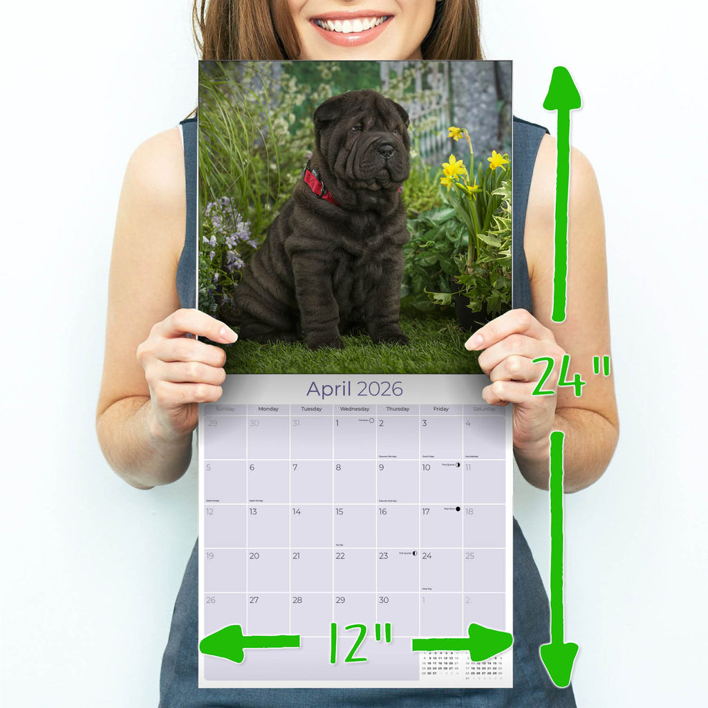 Shar Pei Wall Calendar 2026