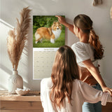 Shetland Sheepdog Wall Calendar 2026