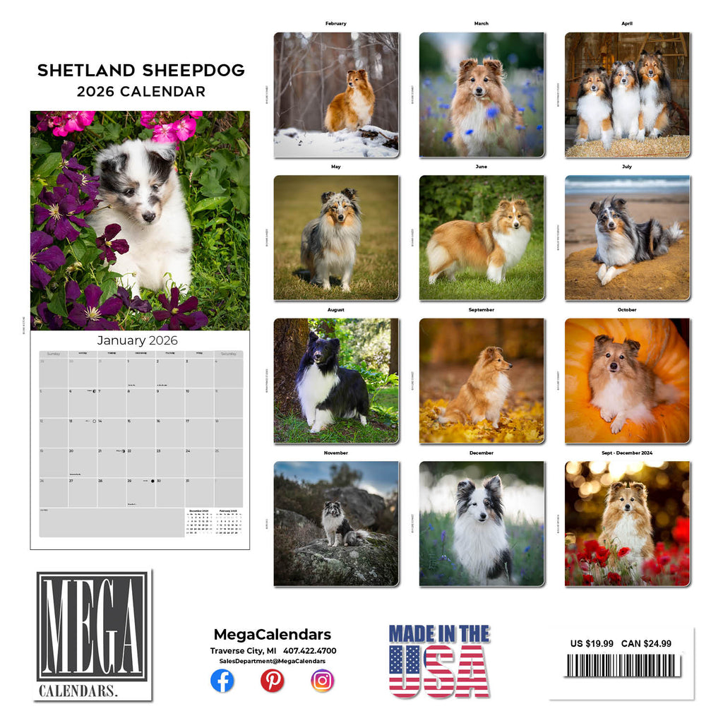 Shetland Sheepdog Wall Calendar 2026
