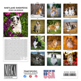 Shetland Sheepdog Wall Calendar 2026
