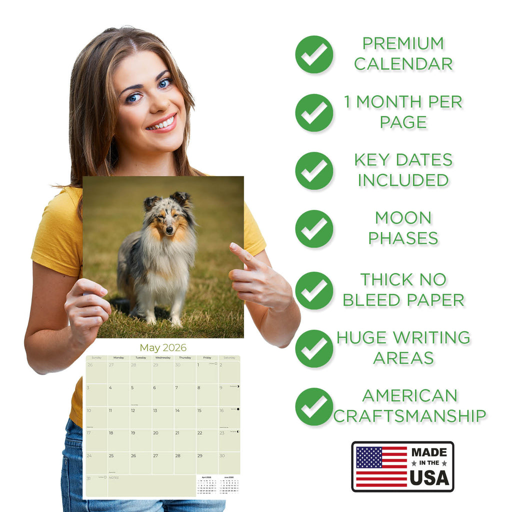 Shetland Sheepdog Wall Calendar 2026