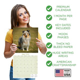 Shetland Sheepdog Wall Calendar 2026