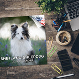 Shetland Sheepdog Wall Calendar 2026
