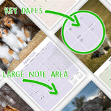Shetland Sheepdog Wall Calendar 2026