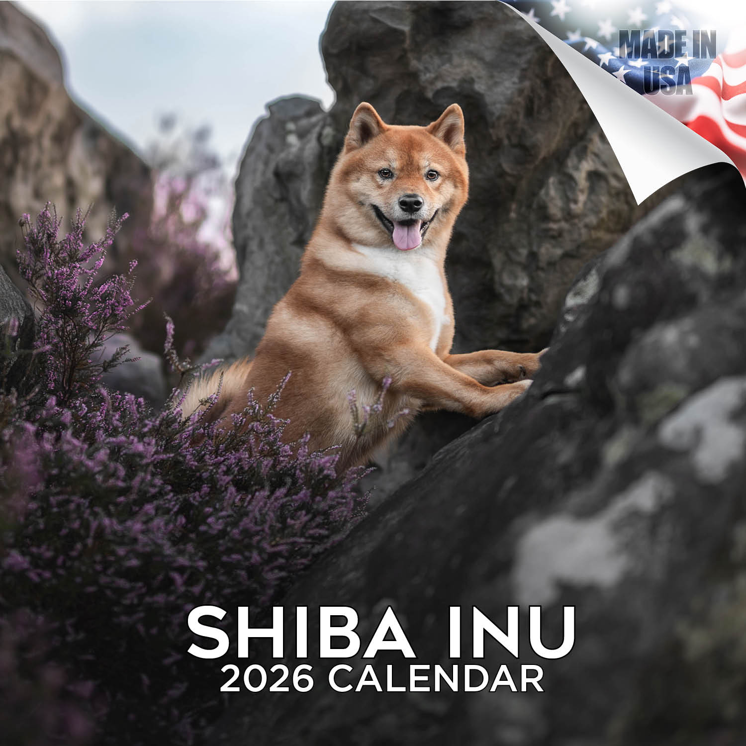 Shiba Inu Wall Calendar 2026