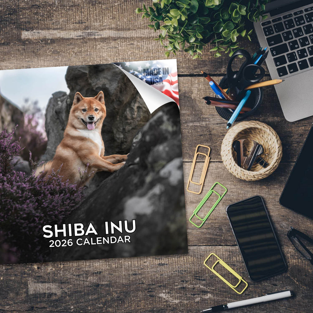 Shiba Inu Wall Calendar 2026