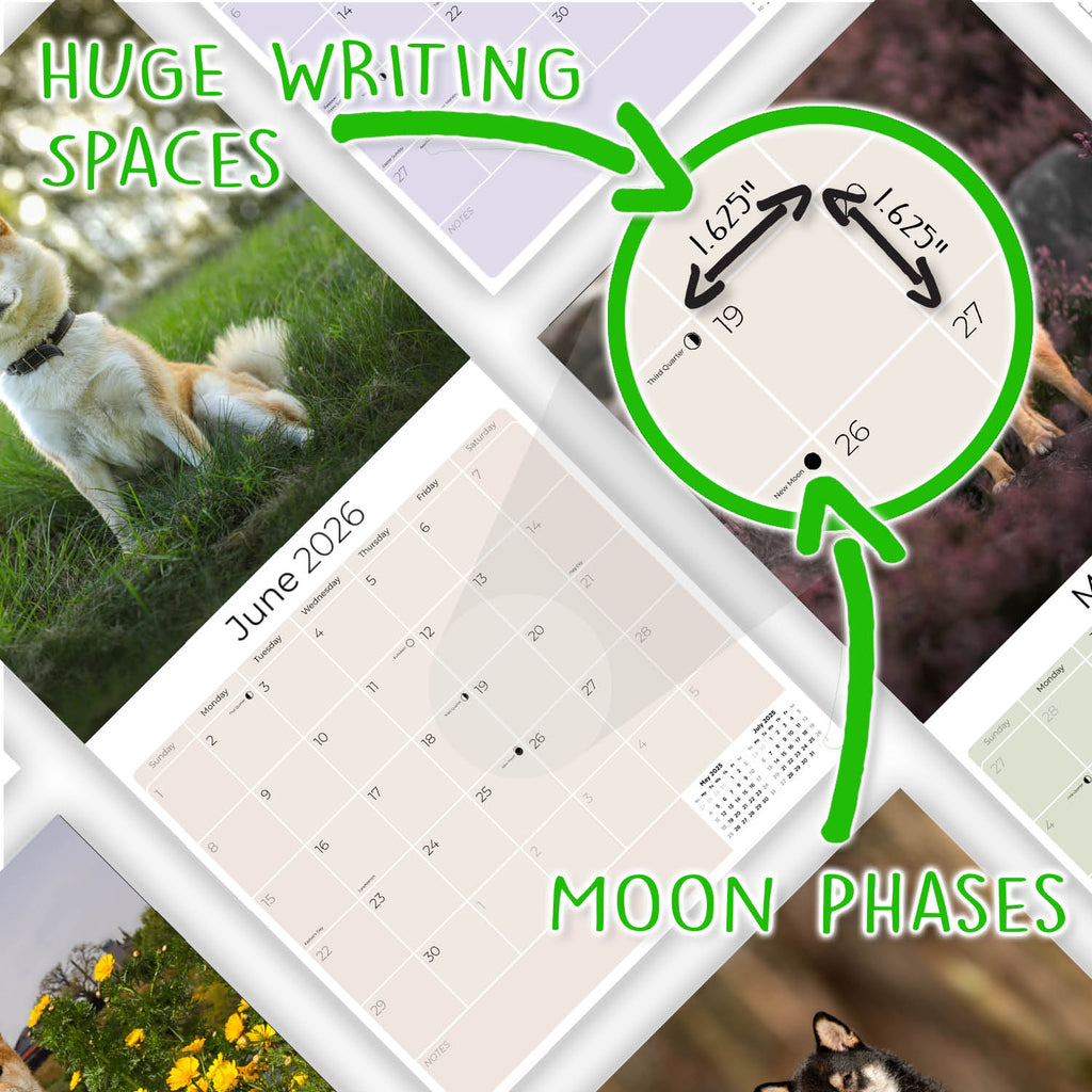 Shiba Inu Wall Calendar 2026