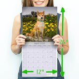 Shiba Inu Wall Calendar 2026