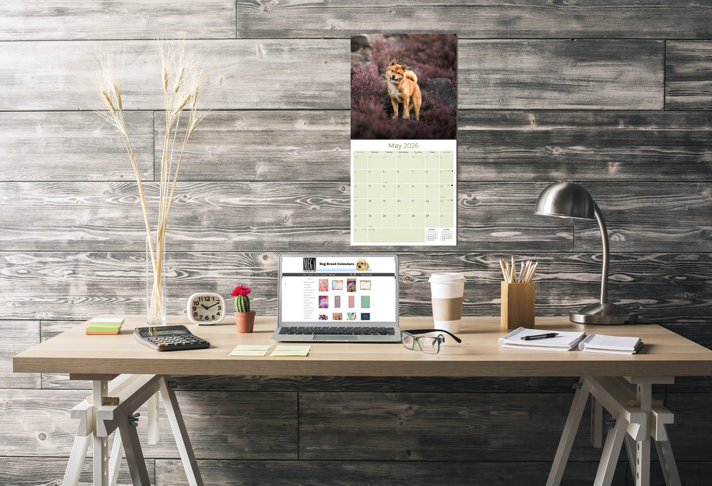 Shiba Inu Wall Calendar 2026