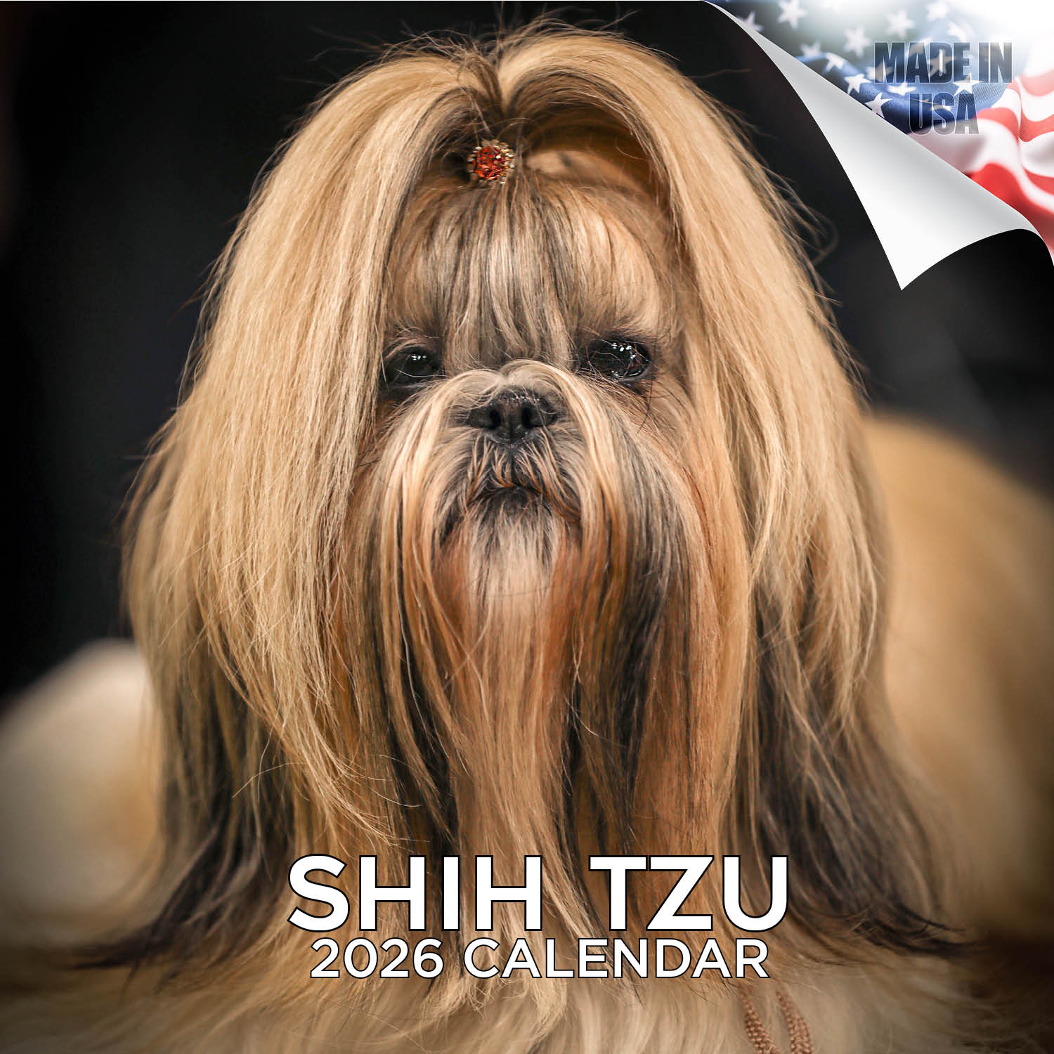 Shih Tzu Wall Calendar 2026