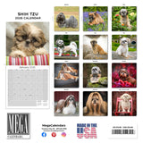Shih Tzu Wall Calendar 2026