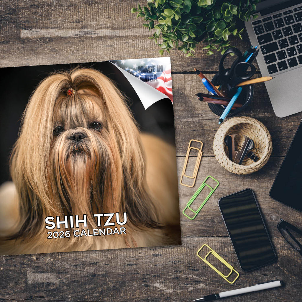Shih Tzu Wall Calendar 2026