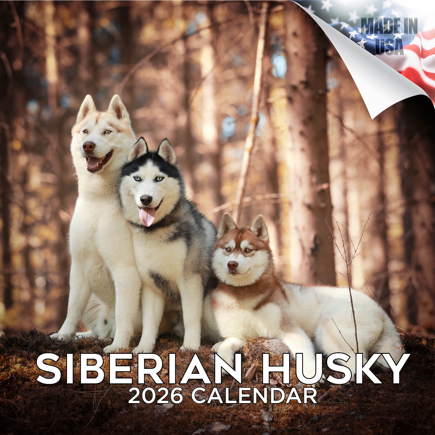 Siberian Husky Wall Calendar 2026
