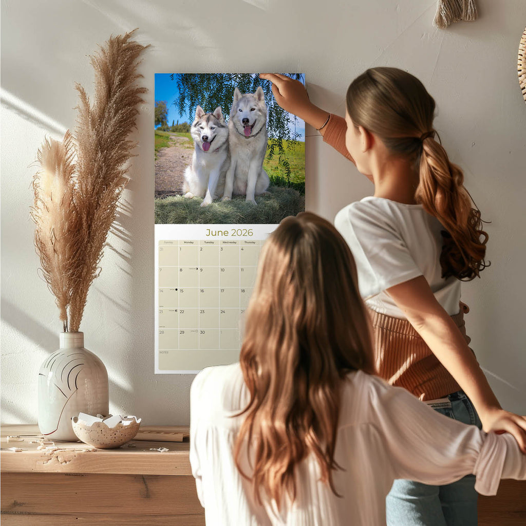 Siberian Husky Wall Calendar 2026