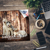 Siberian Husky Wall Calendar 2026