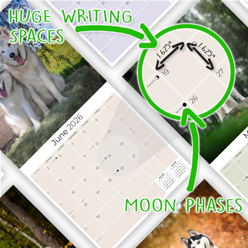 Siberian Husky Wall Calendar 2026