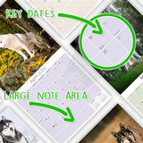 Siberian Husky Wall Calendar 2026