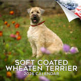 Softcoat Wheaten Terrier Wall Calendar 2026