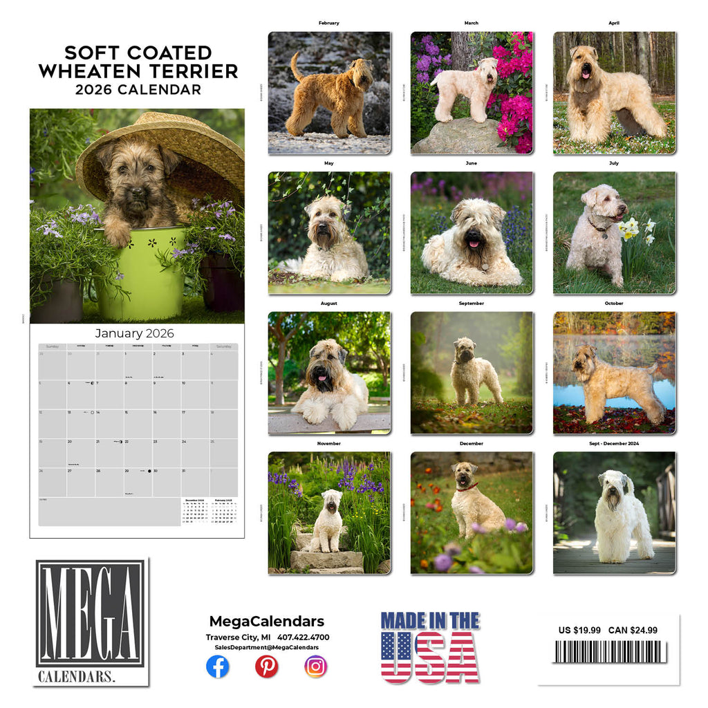 Softcoat Wheaten Terrier Wall Calendar 2026