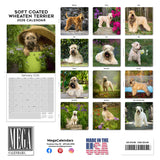 Softcoat Wheaten Terrier Wall Calendar 2026