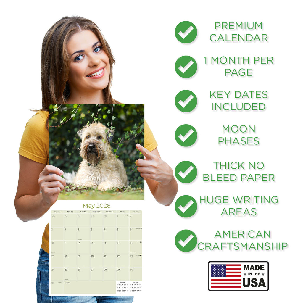 Softcoat Wheaten Terrier Wall Calendar 2026