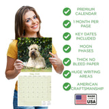 Softcoat Wheaten Terrier Wall Calendar 2026