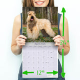 Softcoat Wheaten Terrier Wall Calendar 2026
