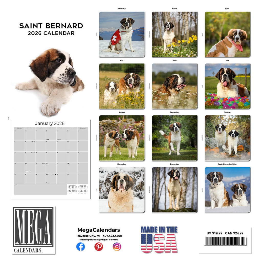 St Bernard Wall Calendar 2026