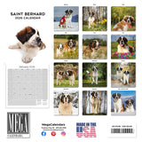 St Bernard Wall Calendar 2026