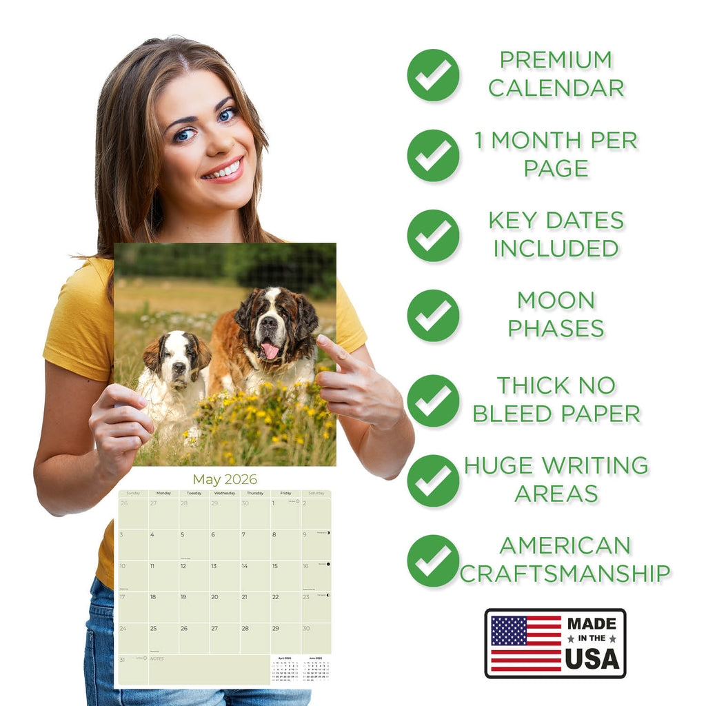St Bernard Wall Calendar 2026
