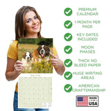 St Bernard Wall Calendar 2026