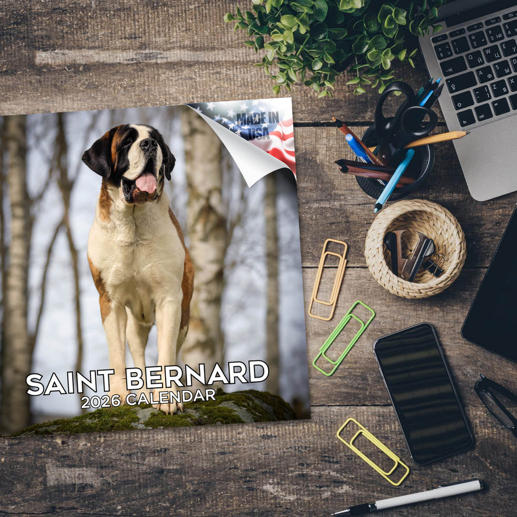 St Bernard Wall Calendar 2026